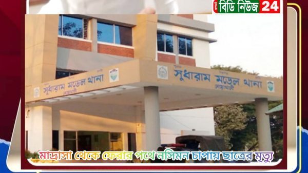 মাদরাসা থেকে ফেরার পথে নসিমন চাপায় ছাত্রের মৃত্যু