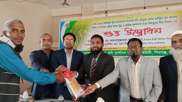 শিবগঞ্জে ৫৬০ কৃষকের মাঝে দুই কেজি করে হাইব্রীড ধান বীজ বিতরণ