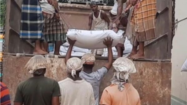 কৃত্রিম সংকটে সারের দাম বৃদ্ধি, বিপাকে কৃষকেরা 