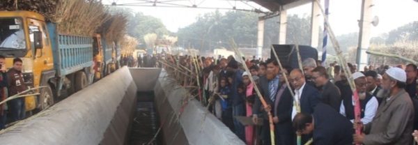 ঠাকুরগাঁও সুগারমিল ৩০০ কোটি টাকা ঋণের বোঝা নিয়ে আখ মাড়াই কার্যক্রম শুরু