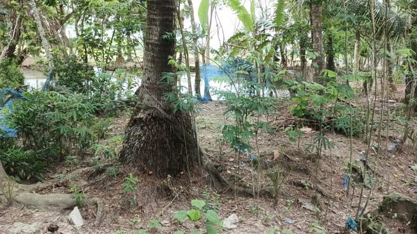 পৈত্রিক সম্পত্তি জবর দখলের অভিযোগ