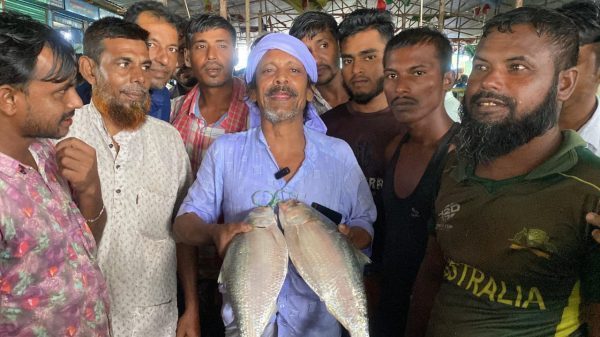 নোয়াখালীতে ২ ইলিশ বিক্রি হলো সাড়ে ১১ হাজার টাকায়