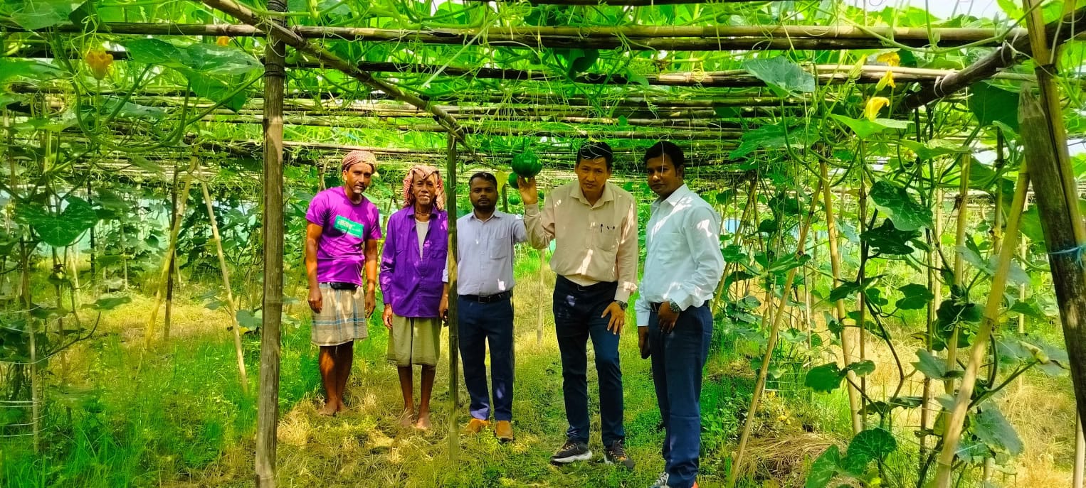 ফটিকছড়িতে হালদার পাড়ের আগাম সবজি