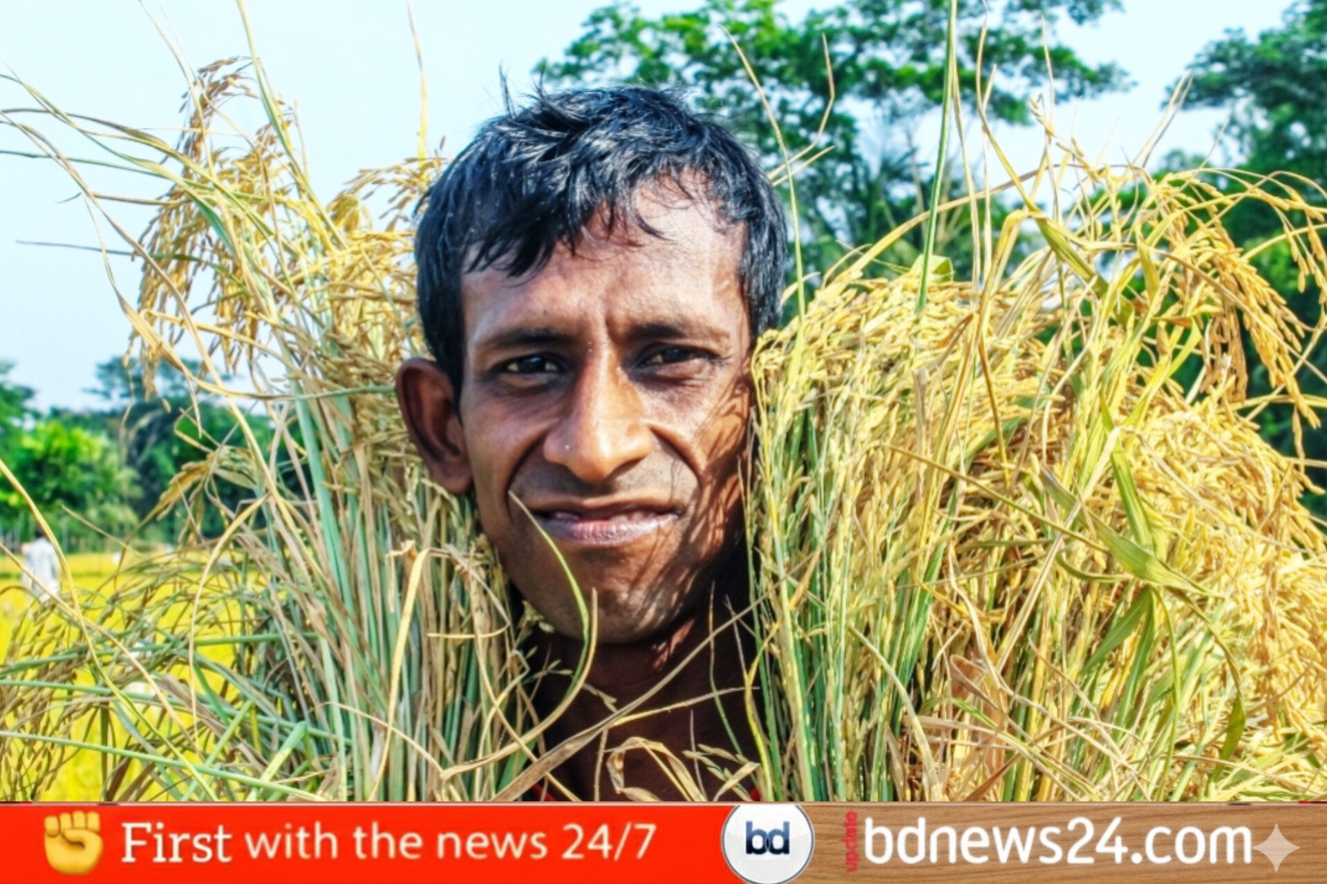 কৃষি সংবাদ বুলেটিন আজকের কৃষি চিত্র