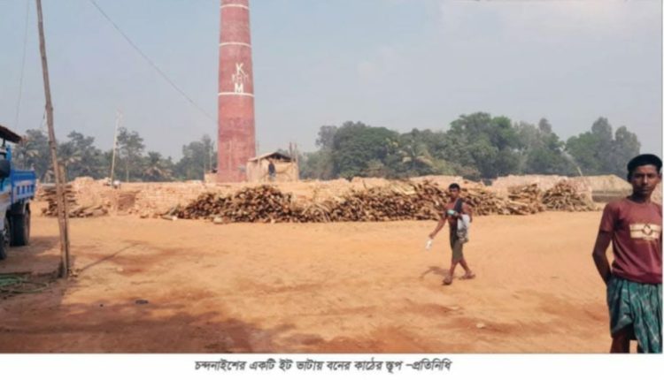 চন্দনাইশে ইটভাটা গিলে খাচ্ছে বন ও ফসলি জমি, প্রশাসনের ‘নীরবতা’ নিয়ে প্রশ্ন