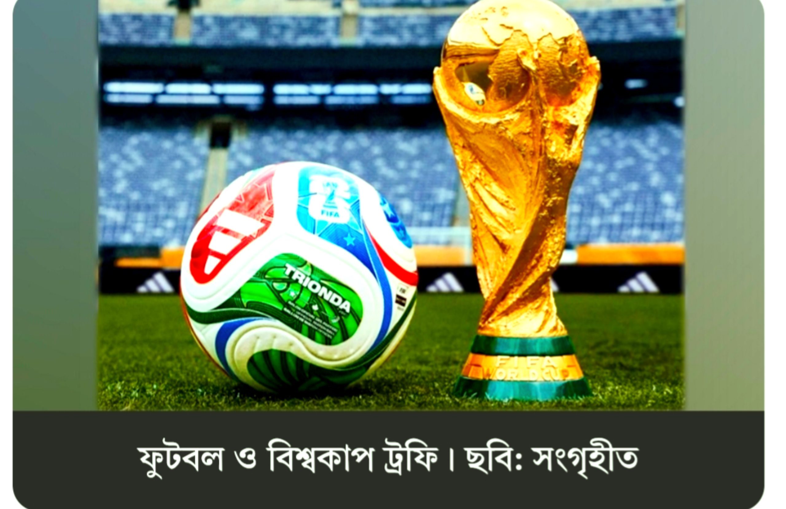 বিশ্বকাপে চ্যাম্পিয়ন হওয়া আর্জেন্টাইন পেয়েছিল ৪২ মিলিয়ন মার্কিন ডলার
