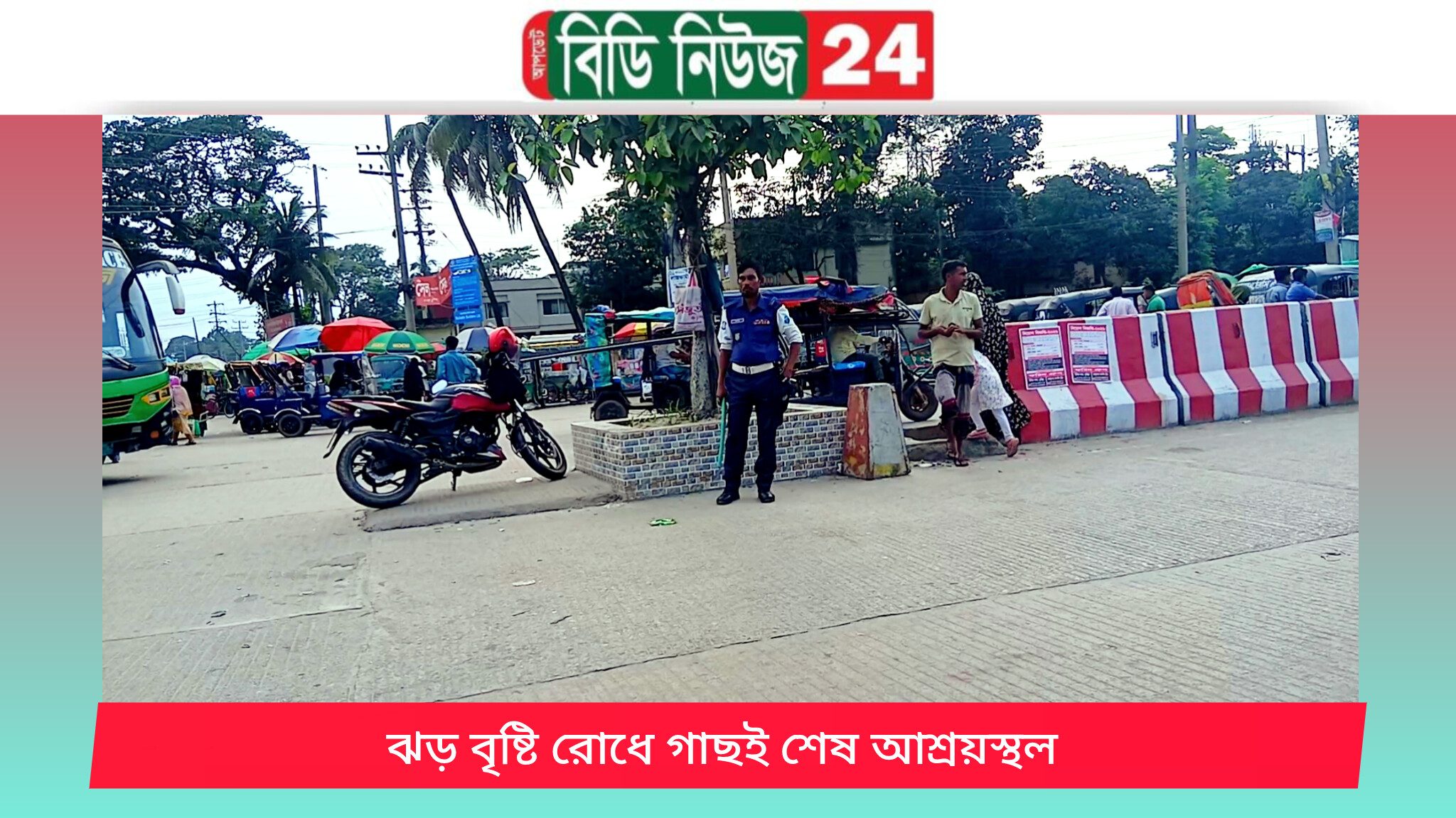 ঝড়-বৃষ্টি ও তীব্র গরমে ছায়ার খোঁজে চৌরাস্তায় ট্রাফিক বক্সের বদলে আদৌও একমাত্র ভরসা গাছ