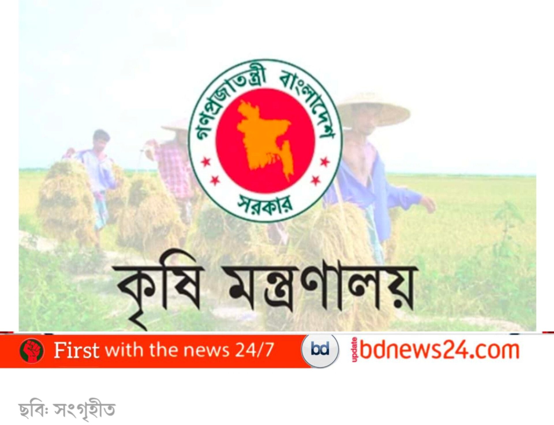 নোয়াখালীতে সার ও কীটনাশক সংকটে চরম বিপাকে মুছাপুরের দুই হাজার কৃষক: দ্রুত পদক্ষেপের দাবি